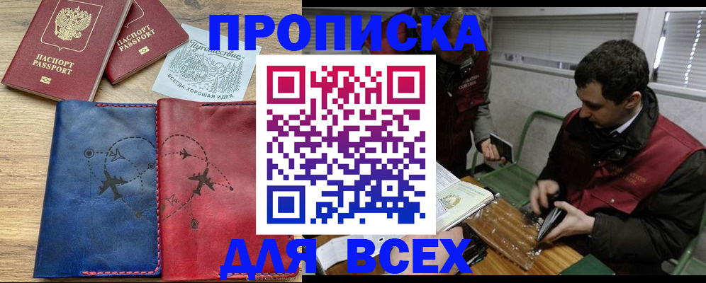 прописка в Невеле